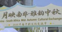 Chinese holiday festival brings cross-cultural glee to South African capital
