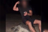 Oman takes legal action against tourist for disturbing sea turtles in Ras Al Hadd