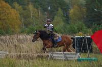 Indonesia tops Asian Greater Championship 2026 in horseback archery