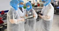 FEHD Intensifies Food Safety Inspections for School Lunch Boxes to Tie in with the New School Year