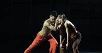 Saigon Art Hub debuts with four works spanning dance, music and film