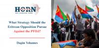 What Strategy Should the Eritrean Opposition Pursue Against the PFDJ?