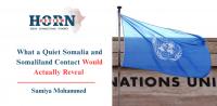 What a Quiet Somalia and Somaliland Contact Would Actually Reveal