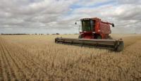 How did the Serbian agriculture do this year?