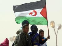 Electoral Masquerade in Western Sahara: The Solid Front of Refusal