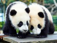 Reciprocal Relationship with China