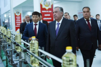 Chinese smart equipment powers Tajikistan's edible oil industry