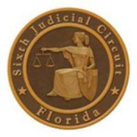 APPLICATIONS SOUGHT TO FILL A PINELLAS COUNTY COURT VACANCY