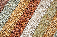 Climate change threatens Nigeria’s food production