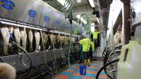 Wisconsin herds earn more as milk components gain value
