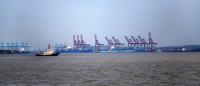 China-India box rates double as import demand strains vessel space