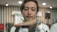 Ankara groom receives exotic animals in twist on gold tradition