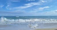 Govt says fence will come down at Cabbage Beach