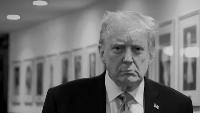 Trump's Taxpayer-Funded Ads Draw Bipartisan Criticism