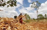 As El Niño intensifies, we should be investing more in the world’s farmers