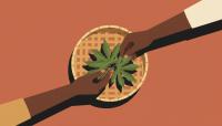 What Sarah makes before Burundi wakes: the business of cassava leaves