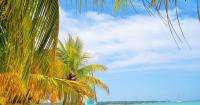ILO warns informality is limiting Eastern Caribbean tourism