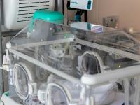 Just 2 Years Old, Suffering From Severe Illness: Why Netherlands...