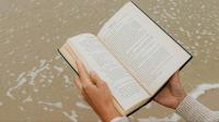 Book Review: ‘Everything Starts At The Top’ Decodes Modern Boardroom Challenges