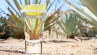 Tequila in Spain is no longer just a shot when you’ve had a few too many, see what people are now sipping