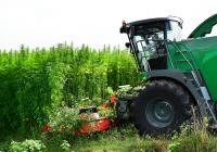 Turkey hosts hemp textiles event