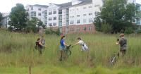 CT is losing salt marsh, but you can help!