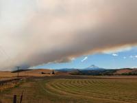 Commentary: The forests Oregon ‘protected’ are burning