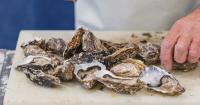 South Carolina’s shellfishing season begins this week