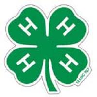 Houston County Fair General 4-H Results