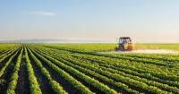 SAFADA to train 50 farmers in climate-smart agriculture
