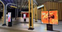 McDonald's has low expectations for fast-food sector growth