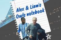 First team addition, staff exit and ex-Owl starts international gig - Sheffield Wednesday notebook