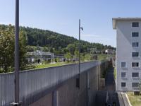 Zurich steps up efforts to replace asphalt with trees