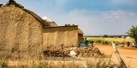 More land, better life? South African farming study asks if that’s the road to rural development
