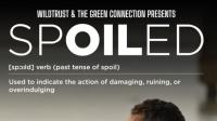 South African Conservation Documentary SPOILED Wins at International Film Festival