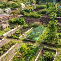 Help Urban Agriculture Grow: Take the Survey