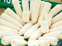 Farmers urged to preserve maize stocks