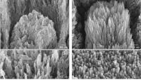 Scientists create new gel to regenerate and repair damaged tooth enamel