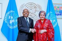 Shettima Advocates UN Reform Equity, Partners Netherlands on Financial Inclusion
