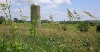 Commentary: Data Centers Aren’t the Only Threat to Farmland