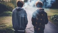 The public health debate wrongly treats a teen vaper the same as a lifetime smoker  – Professor Robert Beaglehole
