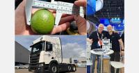 “We are the largest exporter of Brazilian limes”