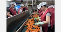 "Agriculture will no longer be a commodity and will increasingly require greater professionalization"