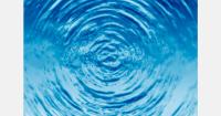 Luxembourg fruit growers call for more irrigation water after drought