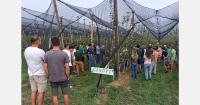 The Canopy apple variety demonstrates its potential at its first field day in Italy