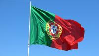 Portugal’s 2025 egg production, exports higher