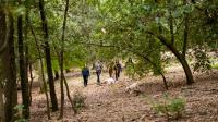 Everything You Should Know About Truffle Hunting in Italy