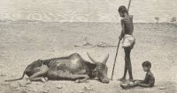 26’-27’ El-Niño Event: What it is and Where it’s Going