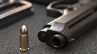 Only half of Michigan schools complying with safe firearm storage information deadline