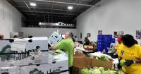 VIDEO | "Packing and praying" to meet the need for food in Delaware